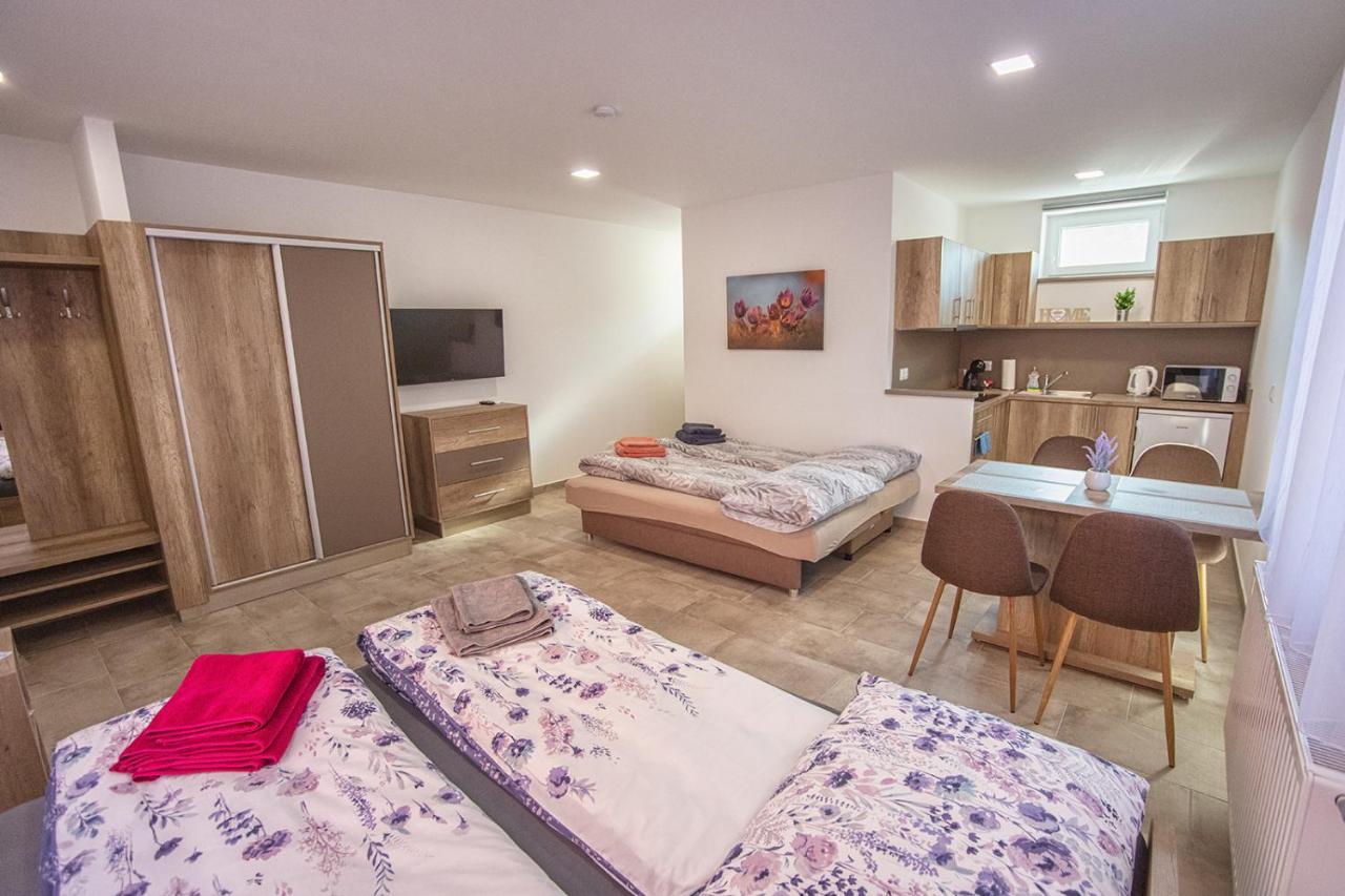 Mona Apartman Sárvár Extérieur photo